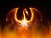 Screensaver Maker: Fire Dragon 1.0.0 screenshot. Click to enlarge!