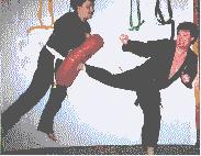 Self-Defense and Over Coming Fear Martia 1.0 screenshot. Click to enlarge!