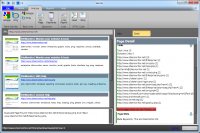 Seolize 2.33 screenshot. Click to enlarge!