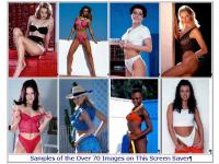 Sexy Lingerie & Bikini Model Screensaver 2.1 screenshot. Click to enlarge!
