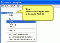 ShaPlus Translator 2.2 screenshot. Click to enlarge!