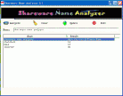 Shareware Name Analyzer 1.0 screenshot. Click to enlarge!