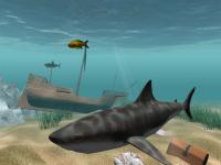 Shark Water World 3D Screensaver 1.6.0 screenshot. Click to enlarge!