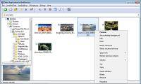 ShellBrowser Components Delphi Edition 9.0.3 screenshot. Click to enlarge!