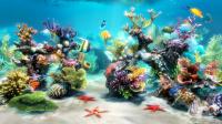 Sim Aquarium 3D 3.7.55 screenshot. Click to enlarge!