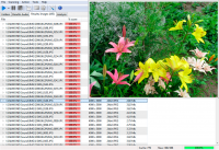 Similarity 2.1.1.2123 screenshot. Click to enlarge!