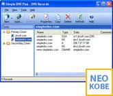 Simple DNS Plus .NET API 1 screenshot. Click to enlarge!