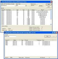 SkDNS ActiveX Control 4.0.0.5 screenshot. Click to enlarge!