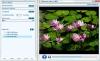 Slideshow Maker to MP4 1.02 screenshot. Click to enlarge!