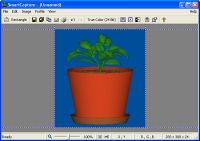 SmartCapture 3.9.0 screenshot. Click to enlarge!