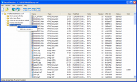 SmartVersion 2.0 screenshot. Click to enlarge!