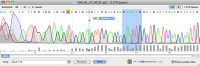 SnapGene Viewer 3.2.0 screenshot. Click to enlarge!