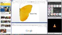 Snapper 2.1.0.0 screenshot. Click to enlarge!