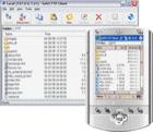 SoftX FTP Client 3.3 screenshot. Click to enlarge!