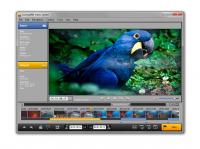 SolveigMM Video Splitter 3.6.1301.11 screenshot. Click to enlarge!