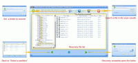 Sondle File Recovery Assist 3.0.0.54 screenshot. Click to enlarge!