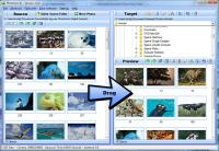 SortPix XL 2.0.6 screenshot. Click to enlarge!