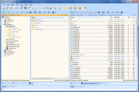 SpeedCommander 17.00.8600 screenshot. Click to enlarge!