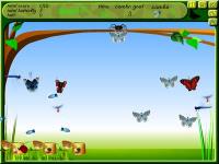 Spider Hunting 2.1 screenshot. Click to enlarge!
