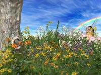 Spring Time 5.07 screenshot. Click to enlarge!