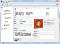 Stamp ID3 Tag Editor 2.38 screenshot. Click to enlarge!