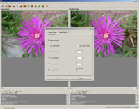 Steg 1.0.0.2 screenshot. Click to enlarge!