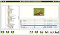 Stellar Phoenix XFS Data Recovery 1.0.0.0 screenshot. Click to enlarge!