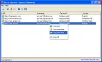 SterJo Internet Explorer Passwords 1.3 screenshot. Click to enlarge!