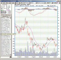 Stock Screener Professional 5.0.3.10 screenshot. Click to enlarge!