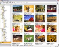 StudioLine Photo Basic 4.2.34 screenshot. Click to enlarge!