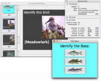 Studycard Studio Lite 2.5 screenshot. Click to enlarge!