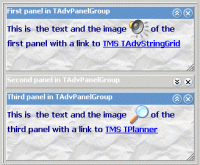 TAdvPanel  2.2.1.2 screenshot. Click to enlarge!