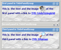 TAdvPanel 2.2.1.2 screenshot. Click to enlarge!