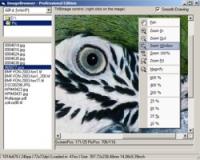 THBImage 5.0.3.4 screenshot. Click to enlarge!