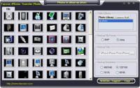 Tansee iPhone Transfer Photo 5.0.0.0 screenshot. Click to enlarge!