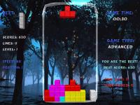 Tetrix XP 1.0 screenshot. Click to enlarge!