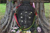 Thailand Wallpaper 1024 1.11 screenshot. Click to enlarge!
