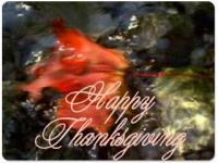 Thanksgiving Season Screensaver 2.0 screenshot. Click to enlarge!