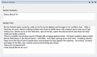 The GameBook Authoring Tool 1.1.101.0 screenshot. Click to enlarge!