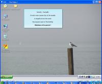 The TUT Video 1.30 screenshot. Click to enlarge!