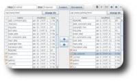 Thin FTP Applet 1.00 screenshot. Click to enlarge!