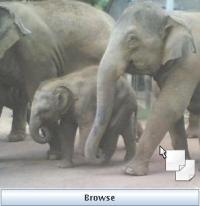 Thin Upload 1.02 screenshot. Click to enlarge!