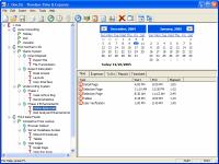 Timeless Time & Expense Personal 2.60.21 screenshot. Click to enlarge!