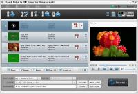 Tipard Video to SWF Converter 6.1.18 screenshot. Click to enlarge!