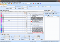 ToDoList 7.1.3.3 screenshot. Click to enlarge!