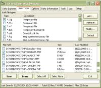 TopLang Computer Sweeper 1.1 screenshot. Click to enlarge!