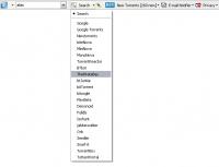 Torrent Search Bar 4.5.186.1 screenshot. Click to enlarge!
