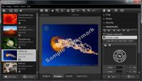 Total Watermark 1.6.752 screenshot. Click to enlarge!