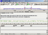 TrueTTY 2.85 screenshot. Click to enlarge!