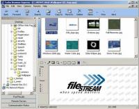 Turbo Browser Express 3.0 screenshot. Click to enlarge!